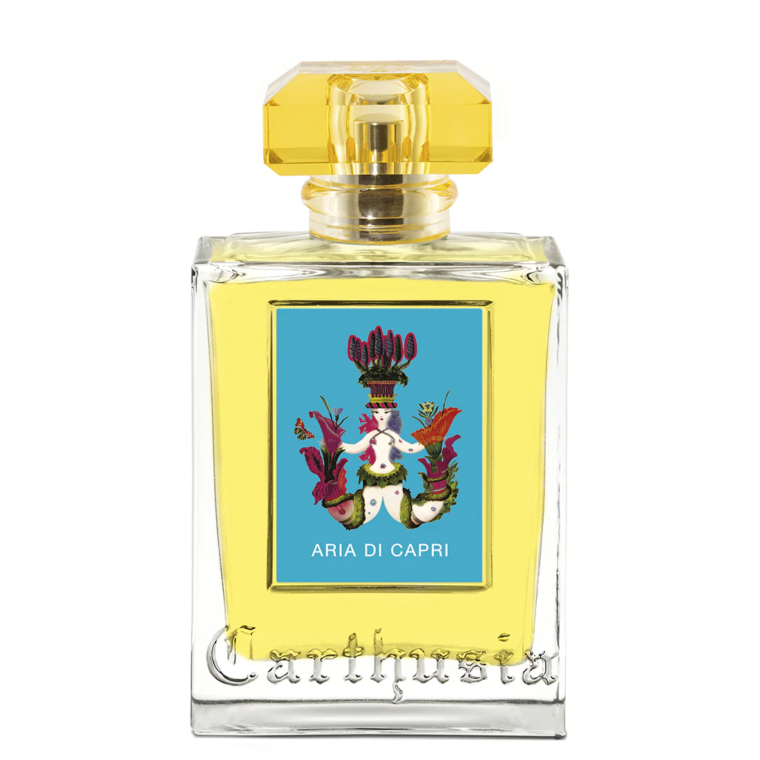 Miniatura 1