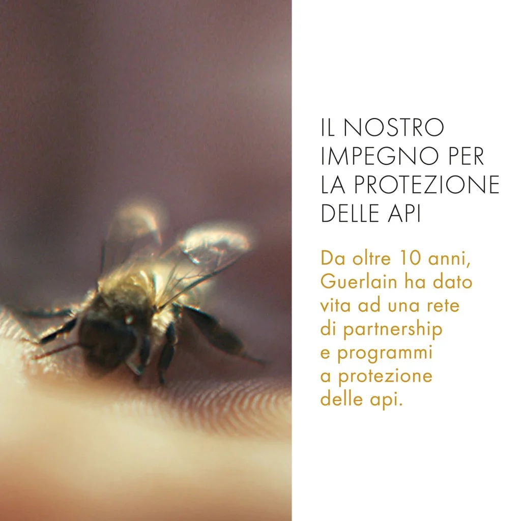Immagine prodotto 8