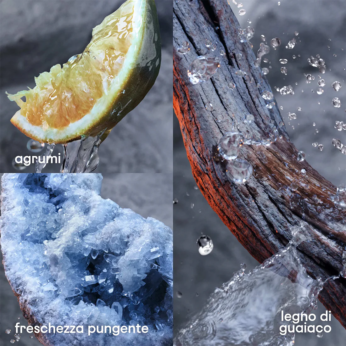 Immagine prodotto 2