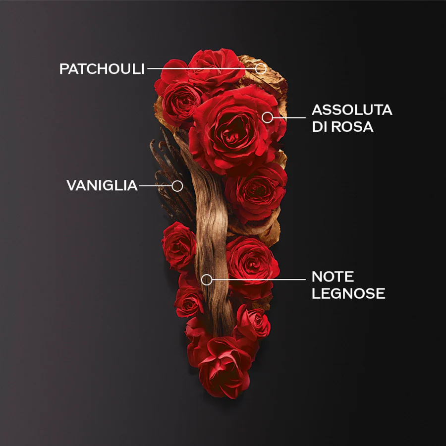 Immagine prodotto 4