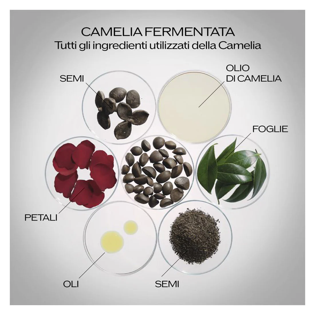 Immagine prodotto 11