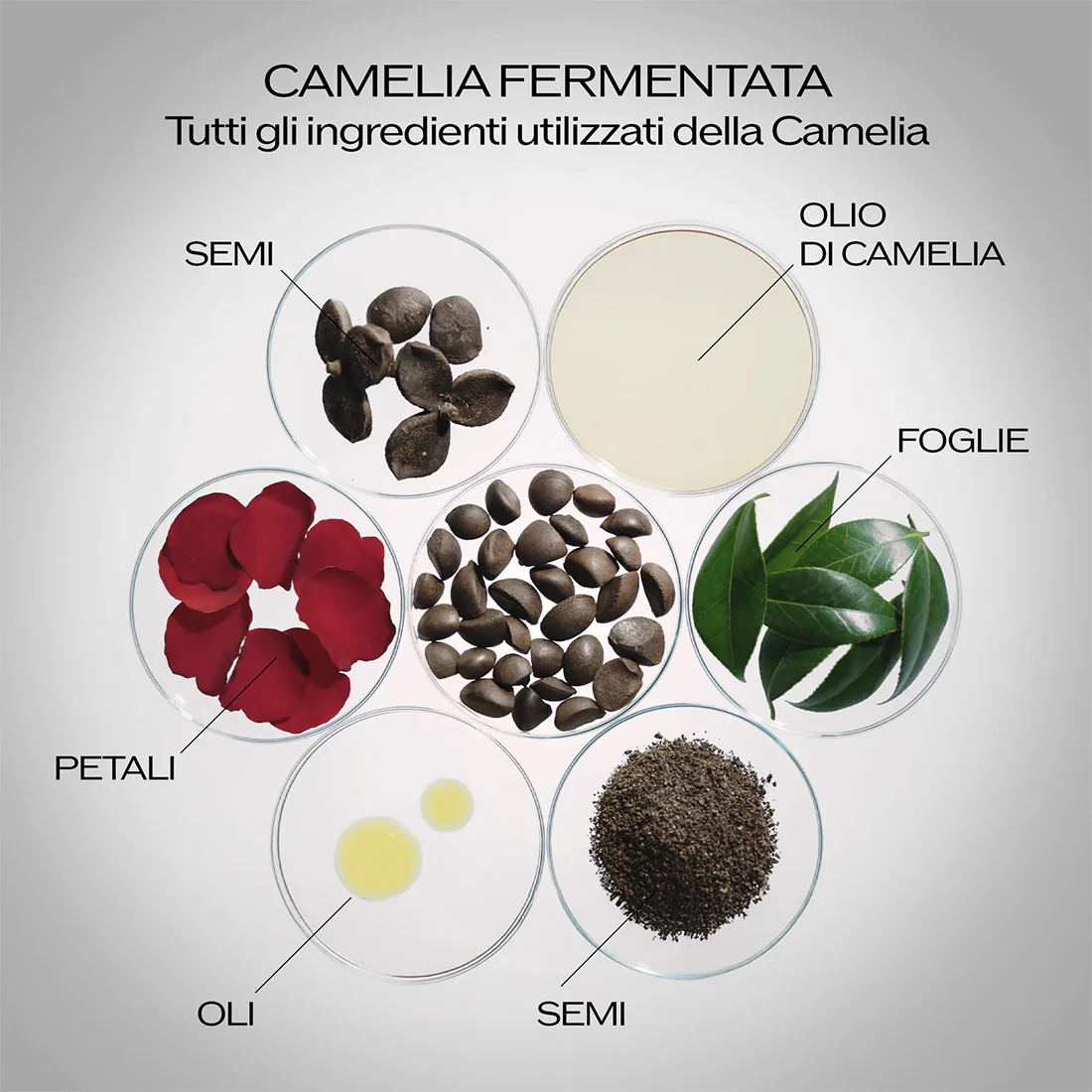 Immagine prodotto 37