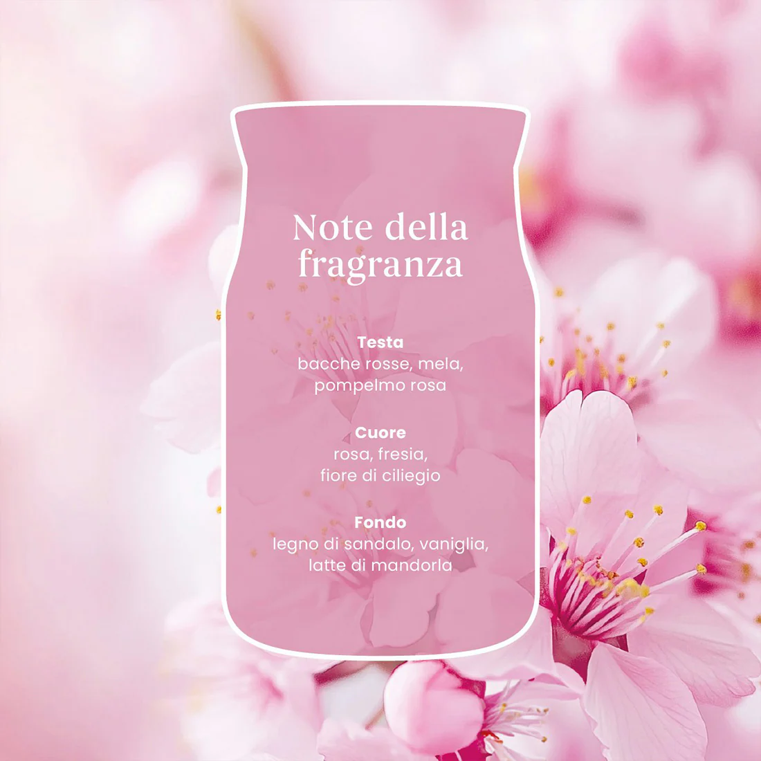 Immagine prodotto 9